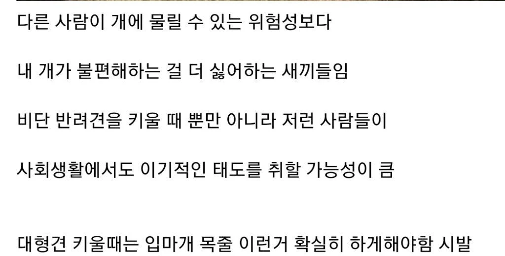 개물림 사고 대부분의 원인 (3)