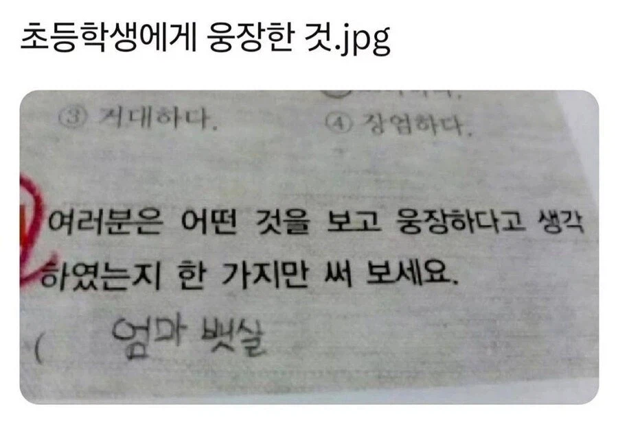 여러분은 어떤 것을 보고 웅장하다고 생각했나요? 한 가지만 써 보세요