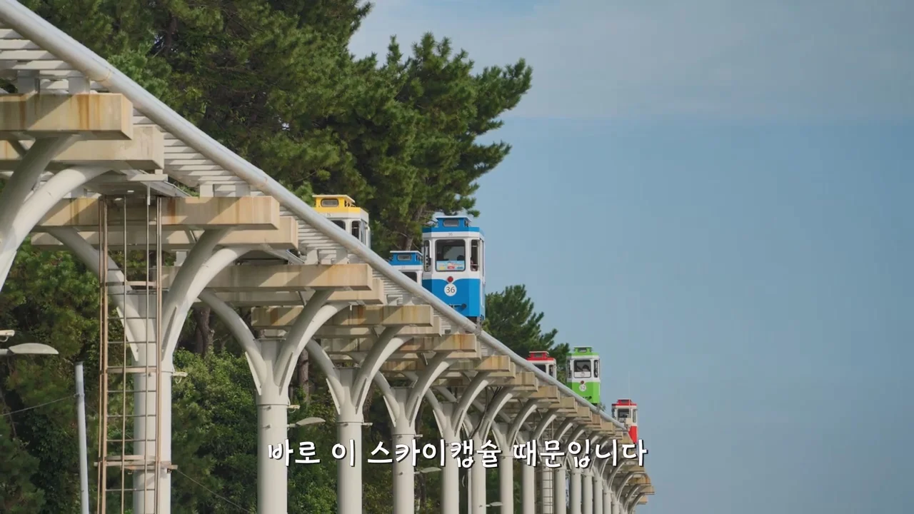 지금 부산에 여행온다고 외국인들이 몰리는 이유 (56)