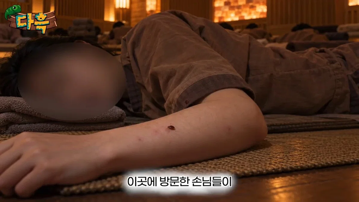 부산 찜질방 빈대 이슈 업로드한 유튜버 다흑... (23)