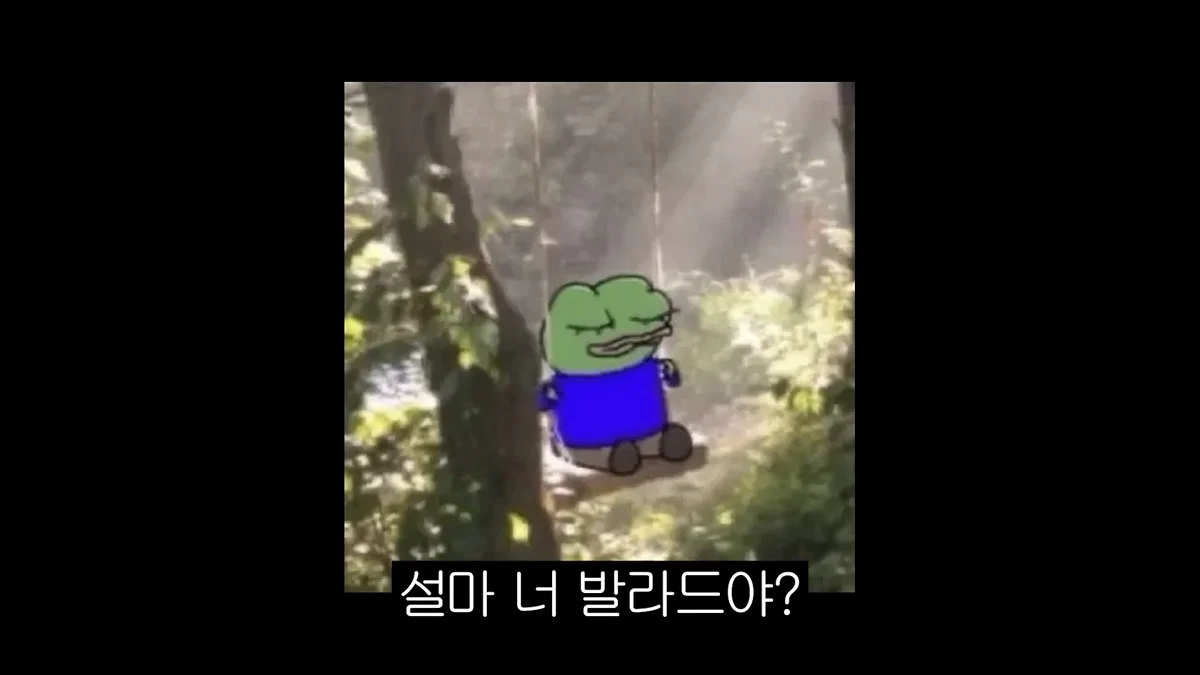 알고 보면 케이팝덬들한테 진짜 많다는 유형.............