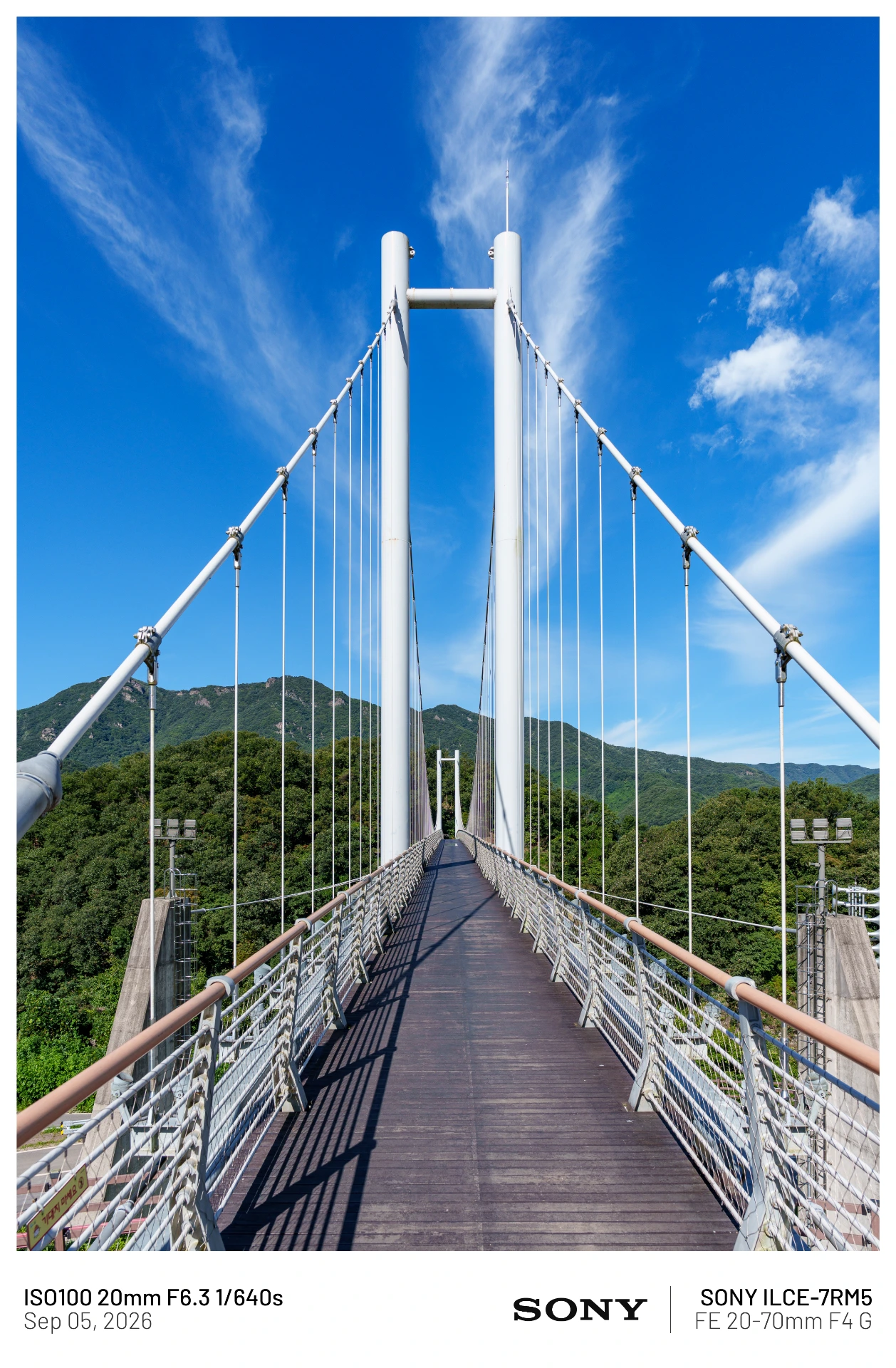 뒤늦게 올리는 하늘에서 본 불꼬ㅊ놀이 外 (13)