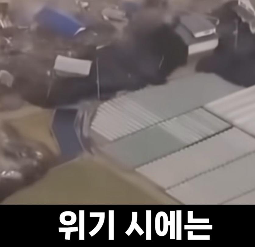 일본 (66)