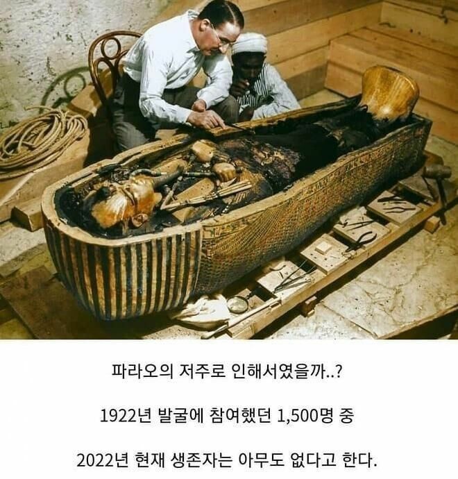 파라오의 저주