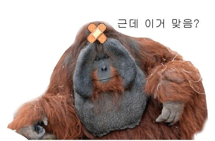 10월 9일 시황
