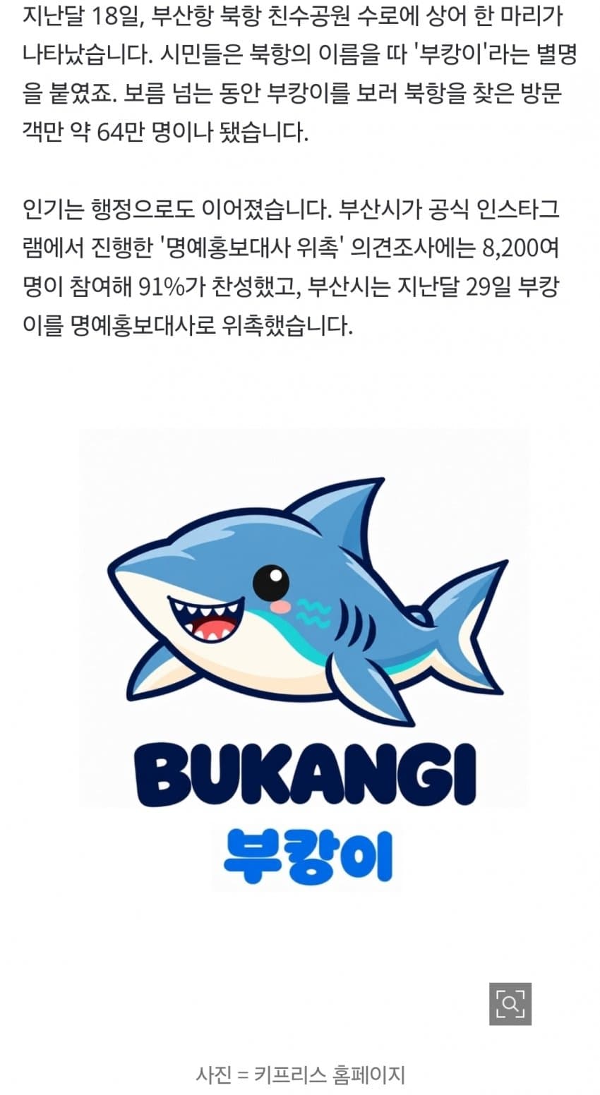 '부캉이' 상표 먼저 '찜'한 개인…'펭수·덮죽' 때와 다르다? (2)