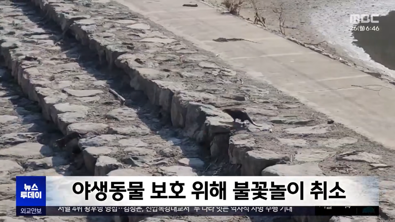 계속되는 안전사고, 환경오염에 취소되는 불꽃놀이 (5)