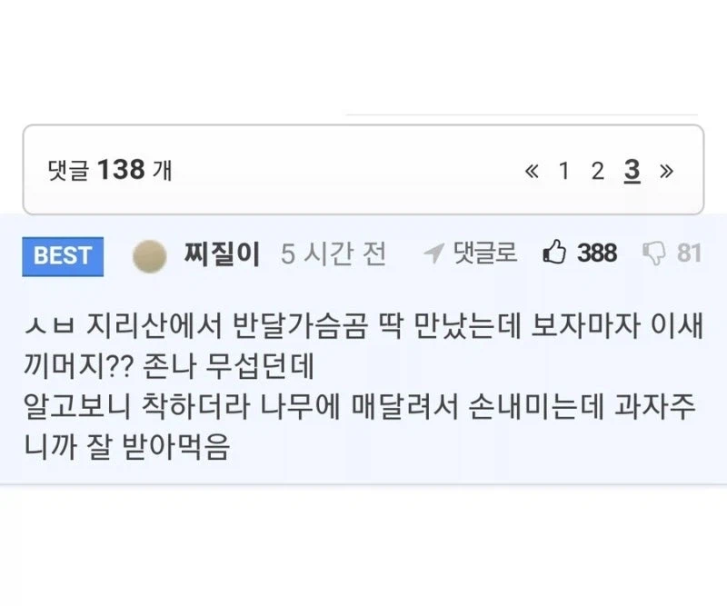 요즘 지리산에서 점점 늘어나는 일 (2)