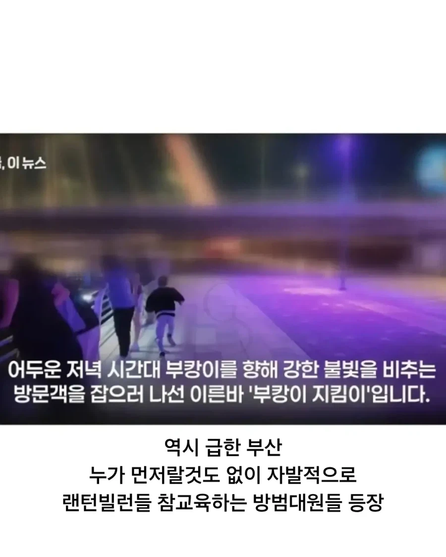 전장연도 포기한 부산인데...