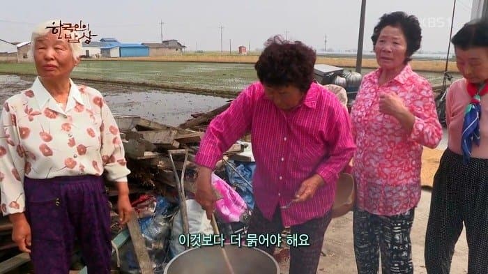 싱글벙글 보릿고개 시절에 먹었다는 잡초풀죽 (19)
