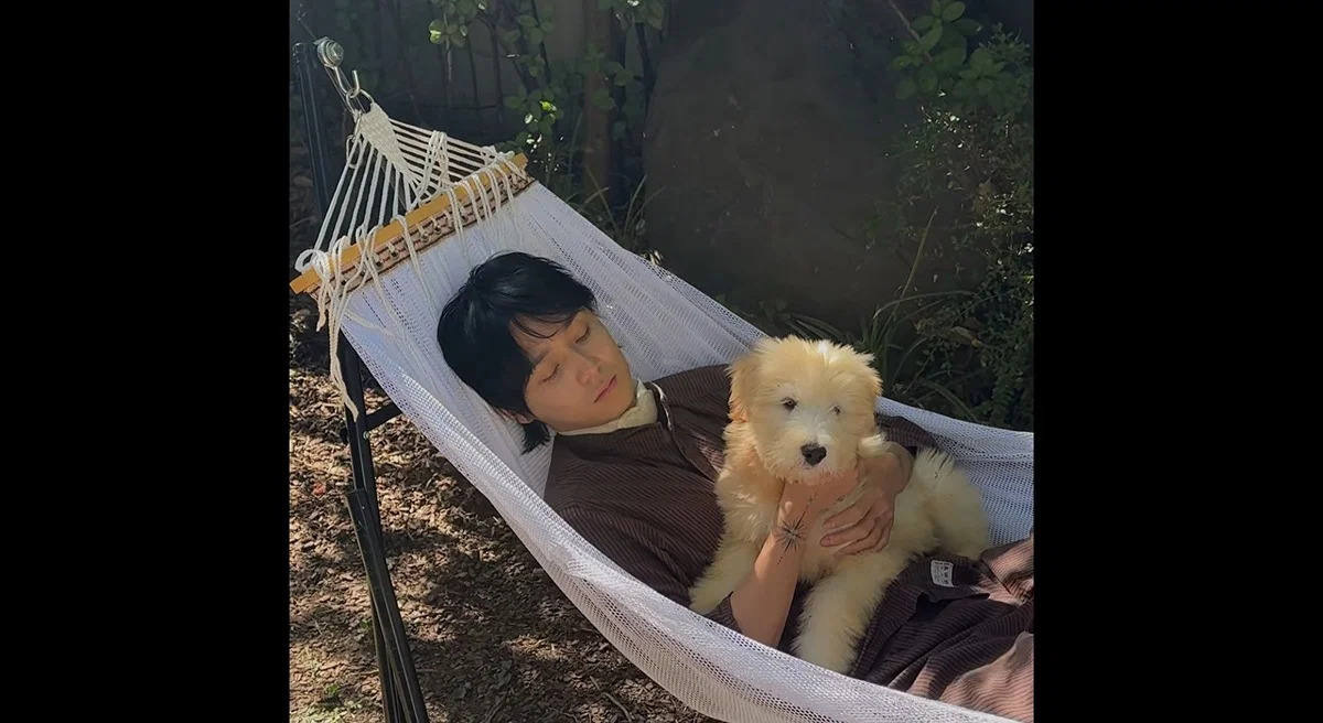 마치 참쌀선과 쌀로별같이 생긴 던네 아는 강아지 햇반이 (12)