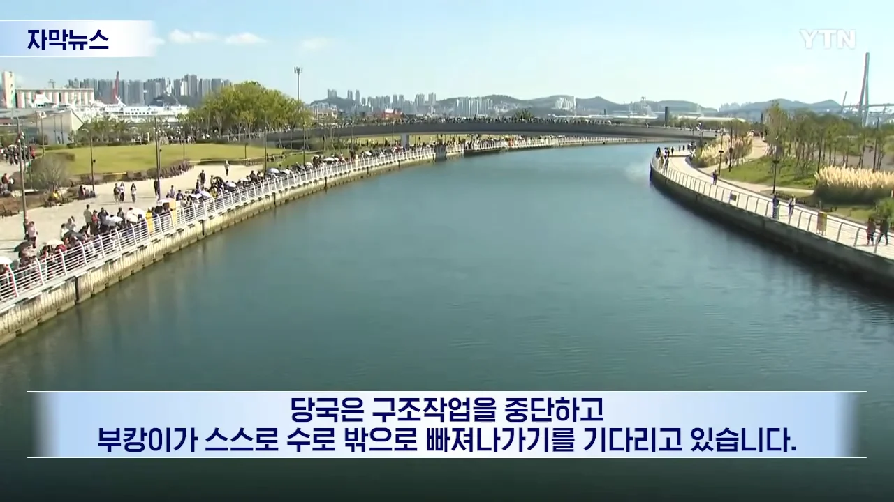 부캉이 구조 포기, 자연에 맡긴다 ㄷㄷ