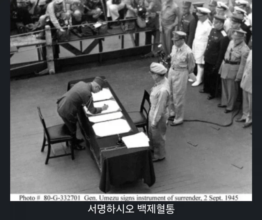 솔직히 고양이 외래종이라고 뭐라 할거면 (4)