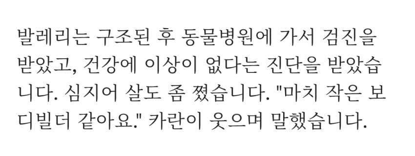 싱글벙글 야생에서 실종된 닥스훈트의 최후.. (3)