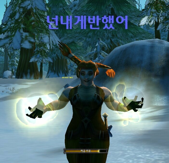 와우 힐러 레전드 (2)
