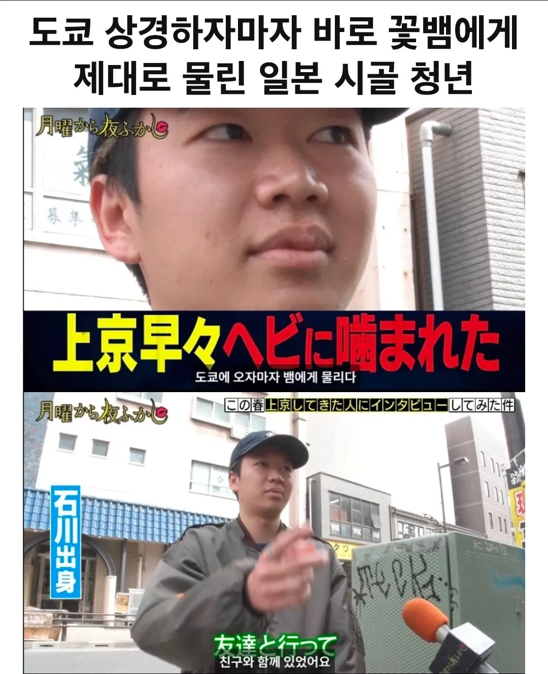 도쿄에 오자마자 꽃뱀에게 물린 시골 청년