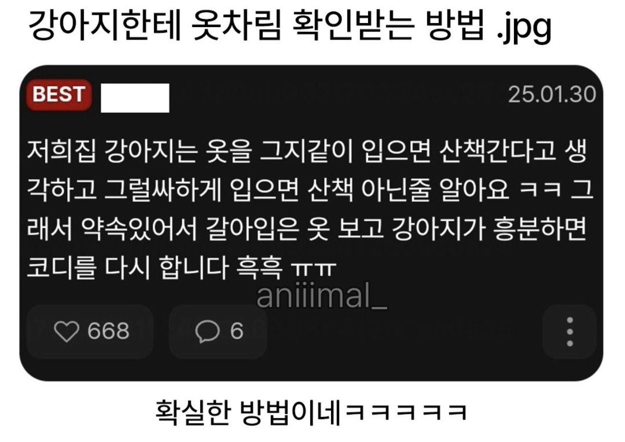 강아지한테 옷차림 확인받는 방법 (2)