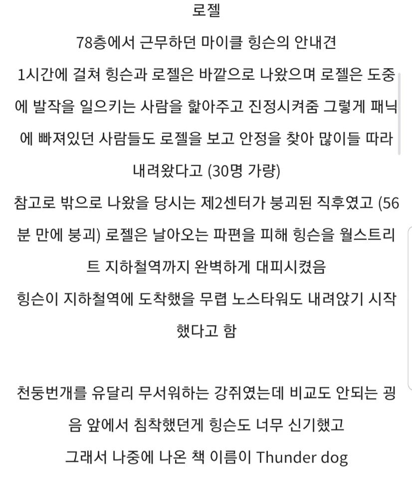 911 테러 당시 건물 안에 있었던 두마리의 시각 장애인 안내견 (6)