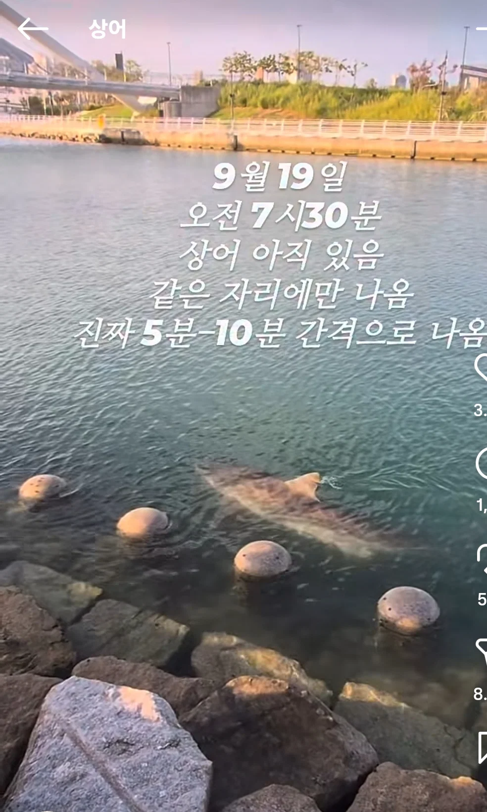 현 시각 부산에서 가장 핫한 곳이라는 부산항 (9)