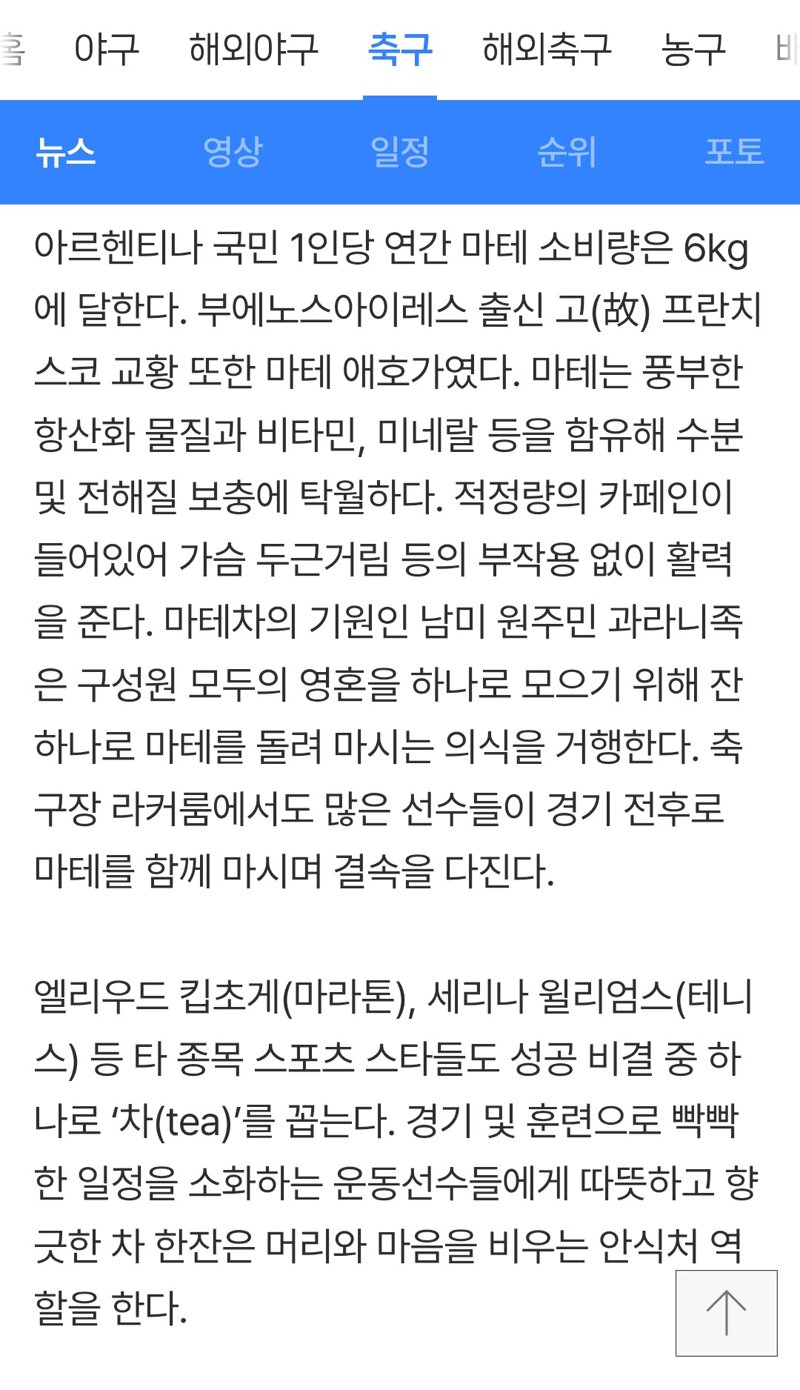 운동선수들이 좋아하는 음료 마테차 (3)