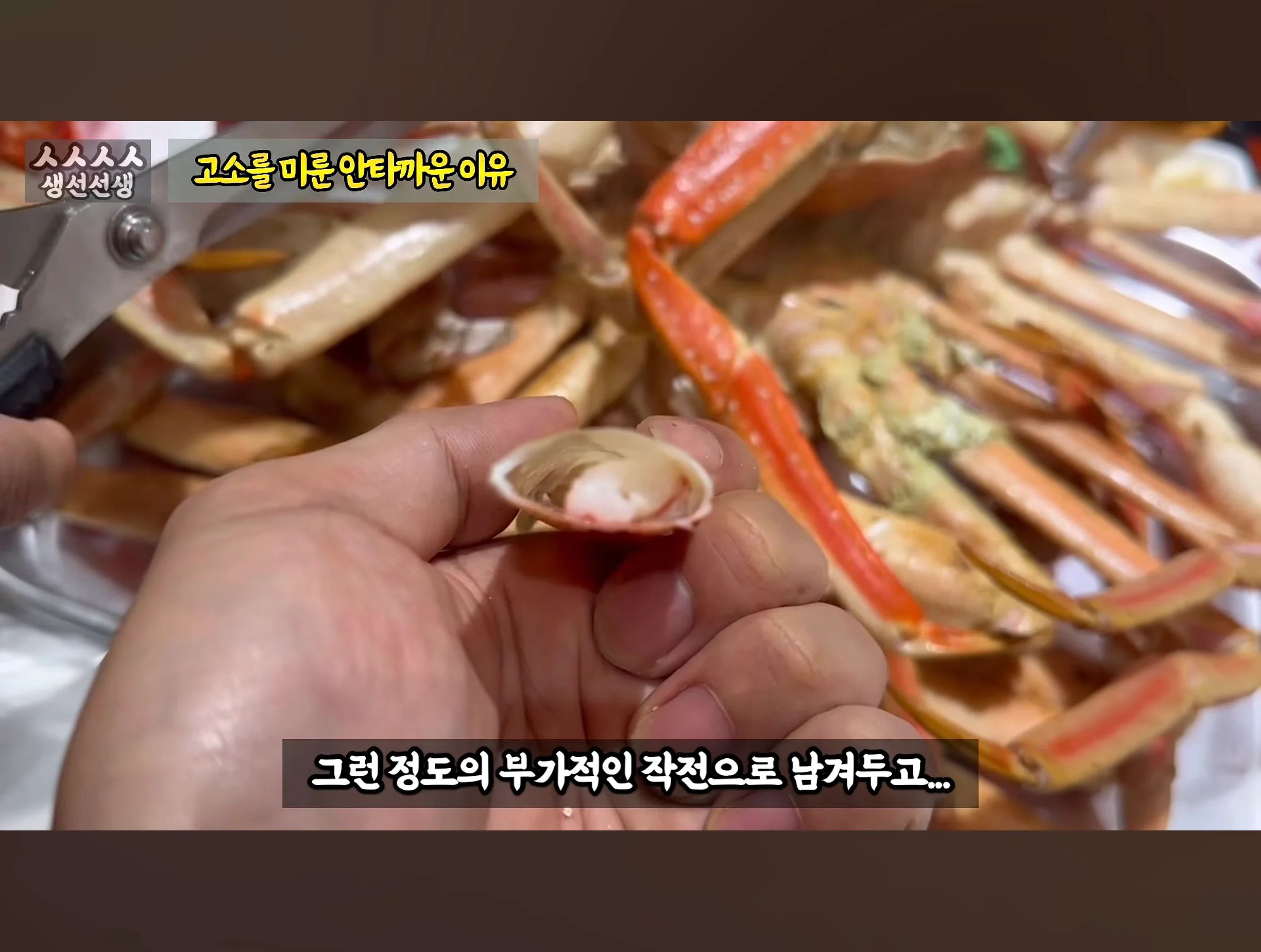 스압주의) 대게 구입 잘못했다가 미쳐버린 유튜버 (37)
