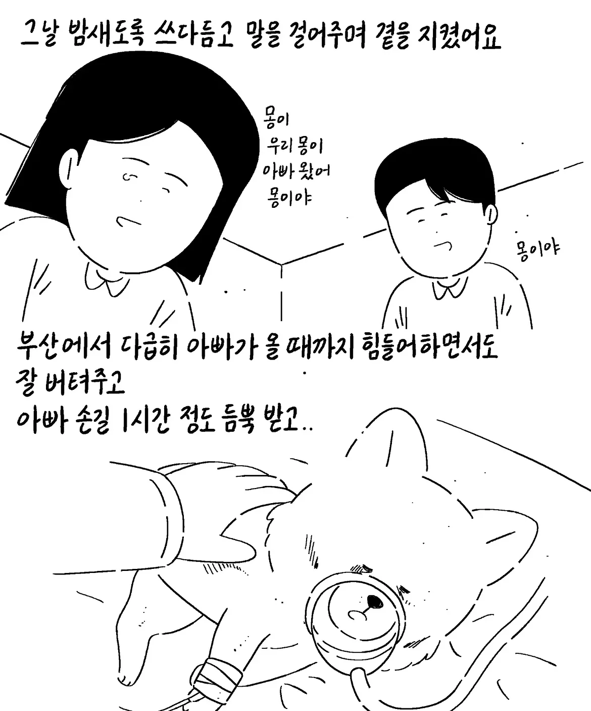 몽이는 처음부터 아픈 아이였어요 (10)