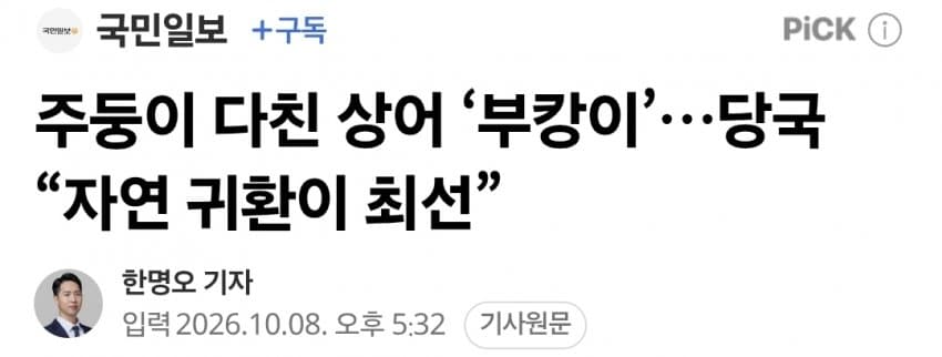 국민 상어 부캉이, 새끼 낳았나 (24)
