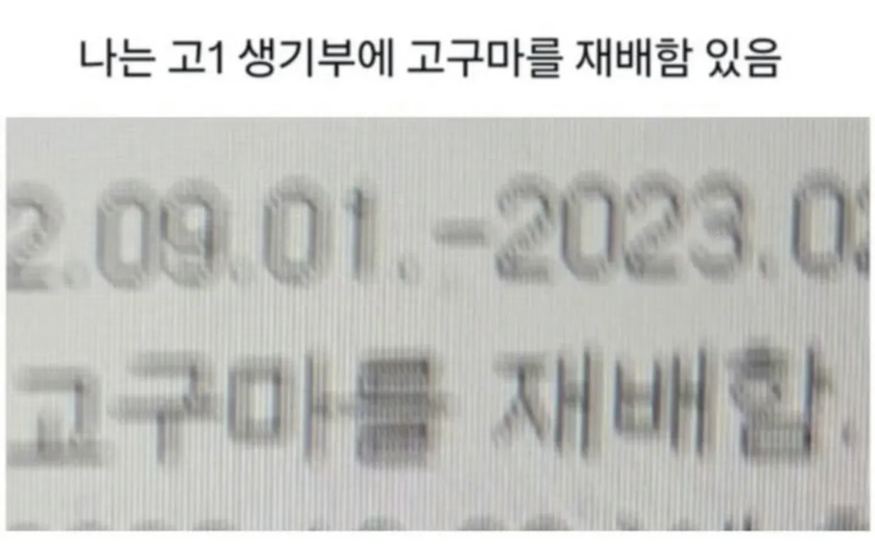 당황스러운 생기부 모음 (10)