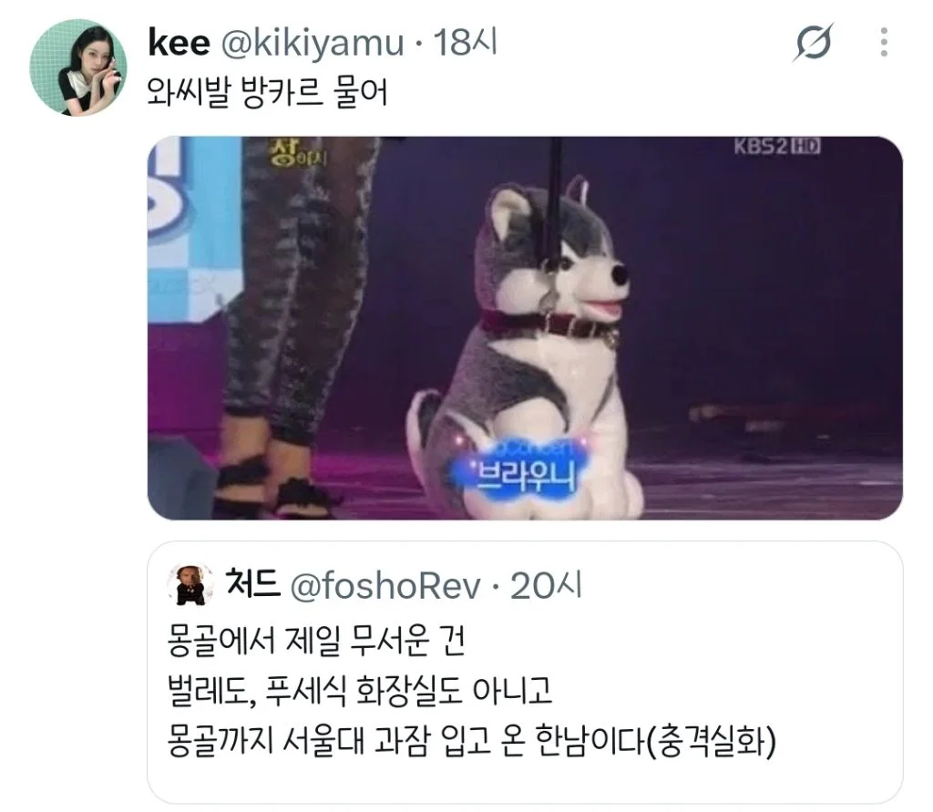 몽골까지 서울대 과잠 입고 온 한국남자.twt (2)