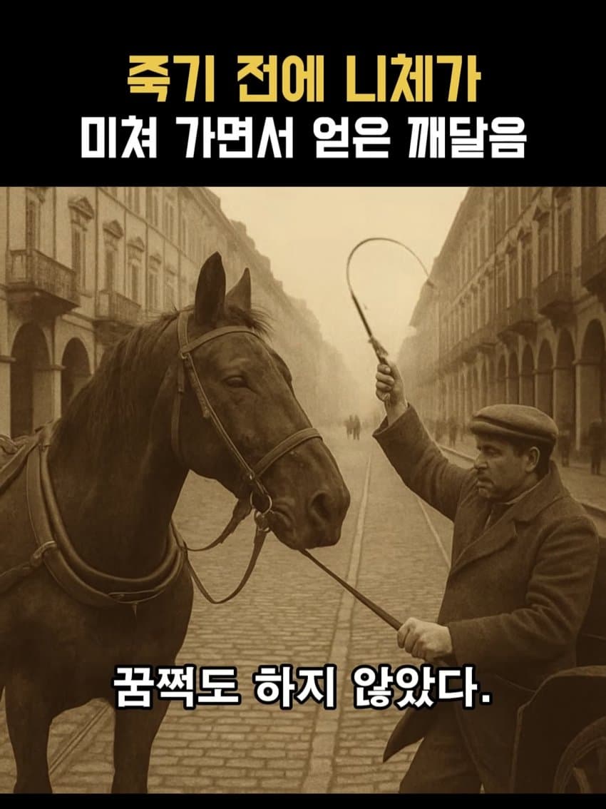ㅂㅅㅂㅅ 니체가 죽기 직전에 미친 이유 (5)