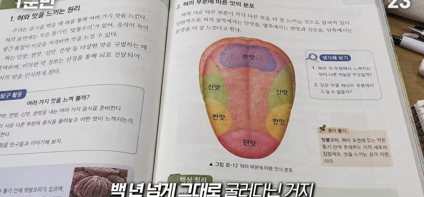 학교에서 배운 '혀 맛' 지도가 잘못됐다..? (25)