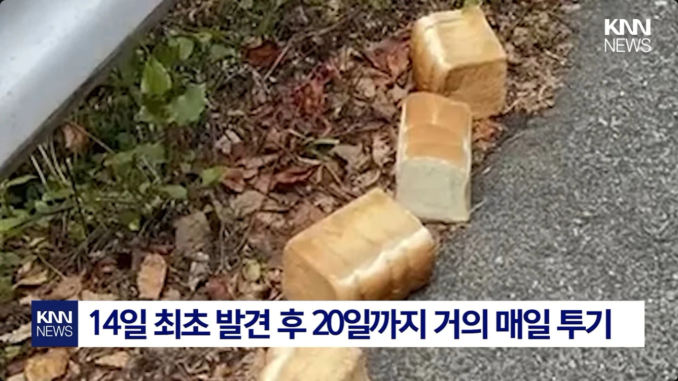 일본에서 난리난 기습 곰맘 시위 (3)