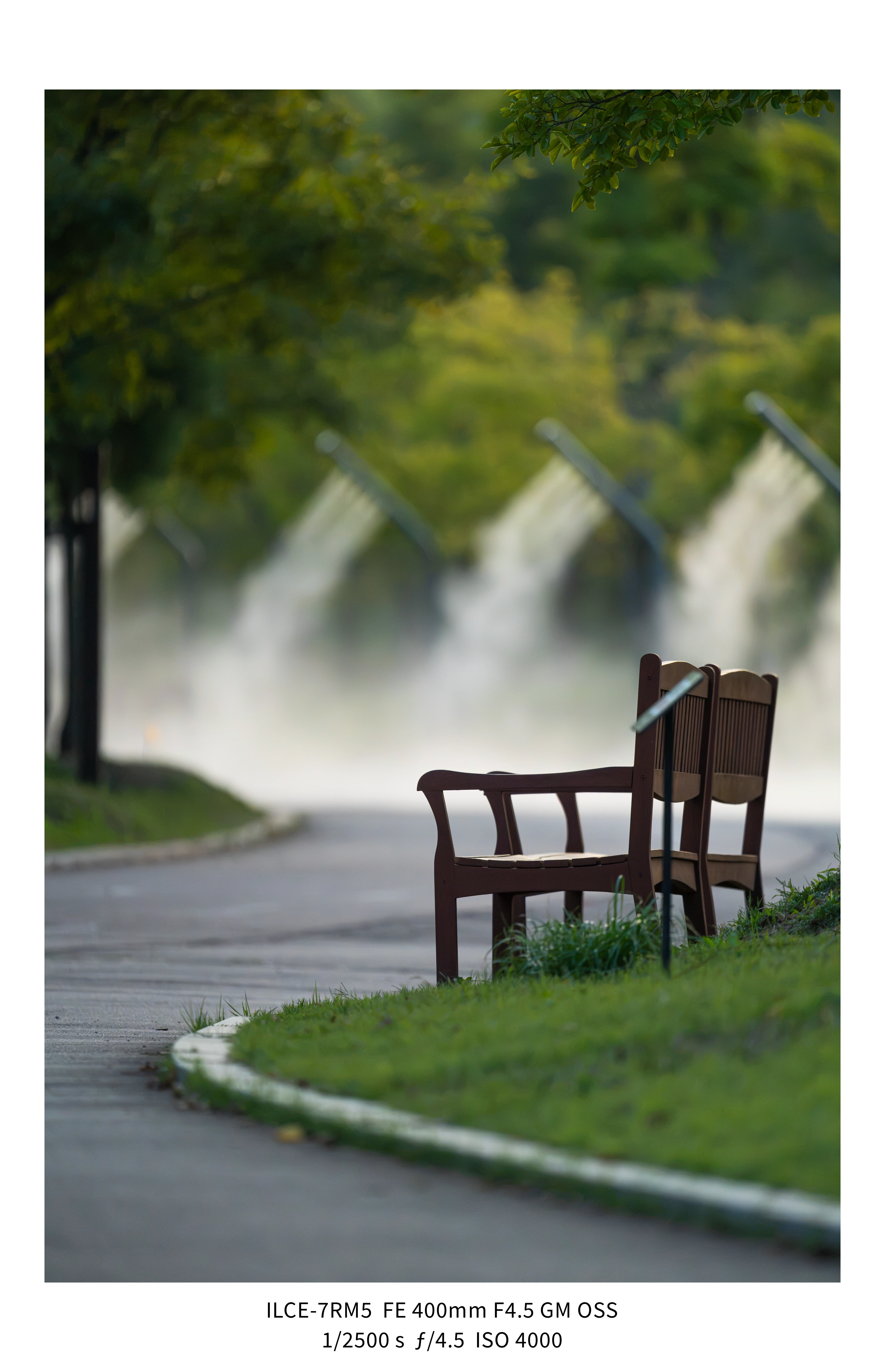애기사백금(400mm F4.5 GM) non-새찍 작례 (25장) (20)