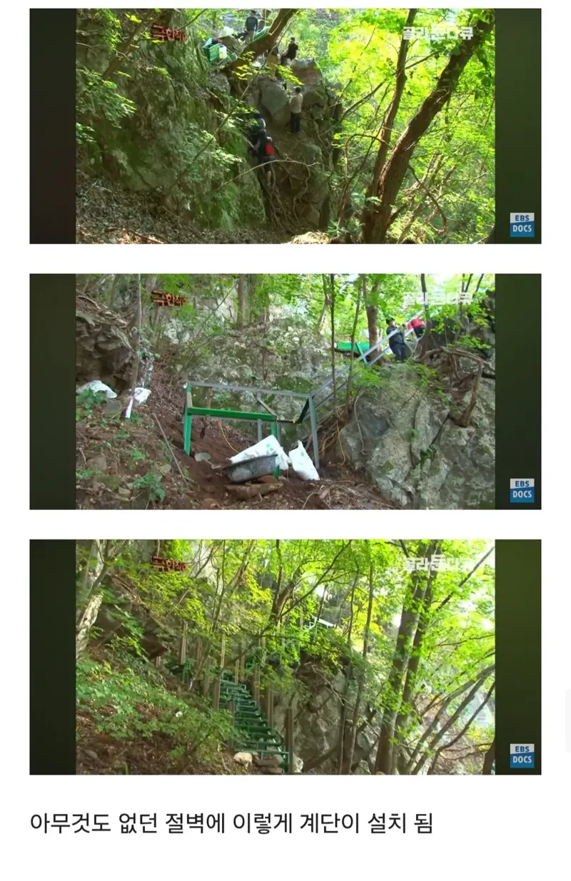 등산로는 누가 어떻게 만드는걸까 (15)