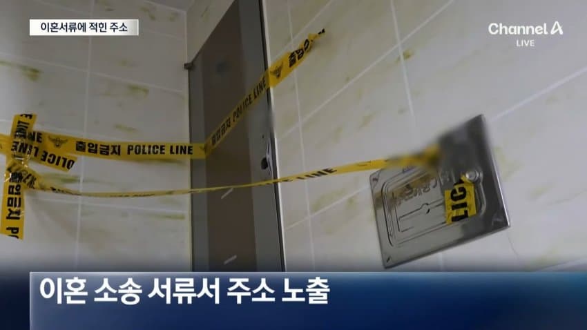 [속보] 가정폭력에 이혼 준비하던 아내 살해 전직 공무원 검거 (20)