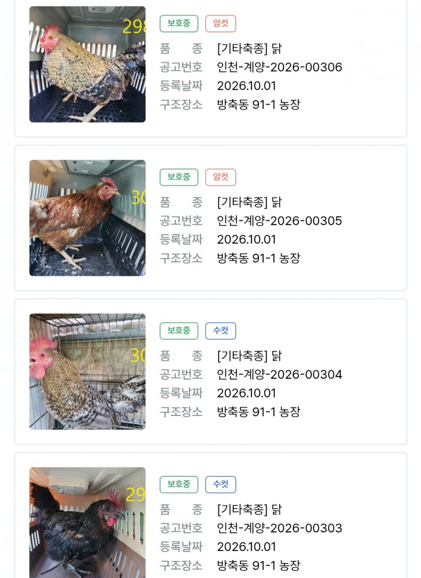싱글벙글 의외로 품종묘 보다 포인핸드 입양률이 높다는 동물 (4)