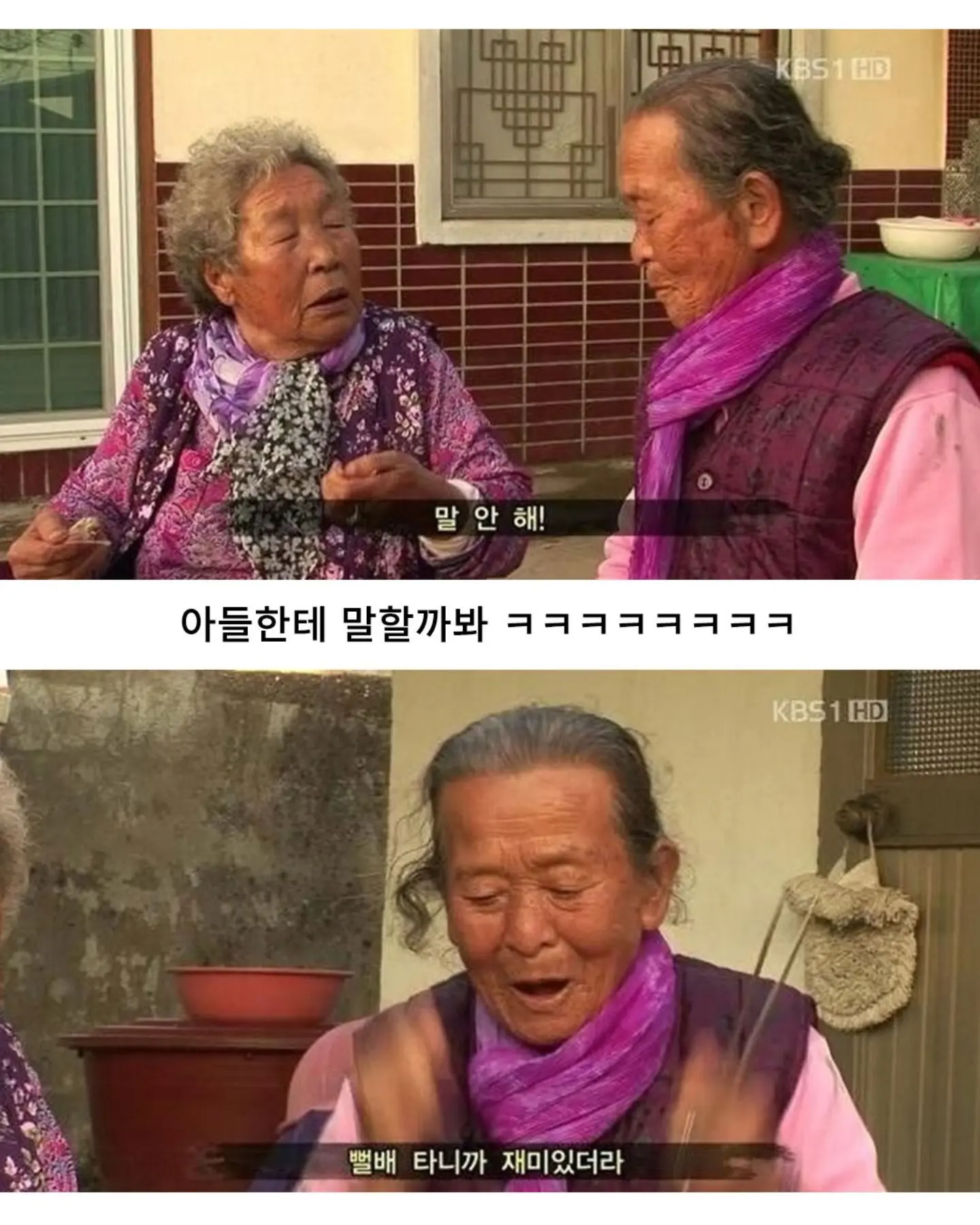 고양이가 생선 안 훔치게 지켜보라 부탁받은 할머니 (9)