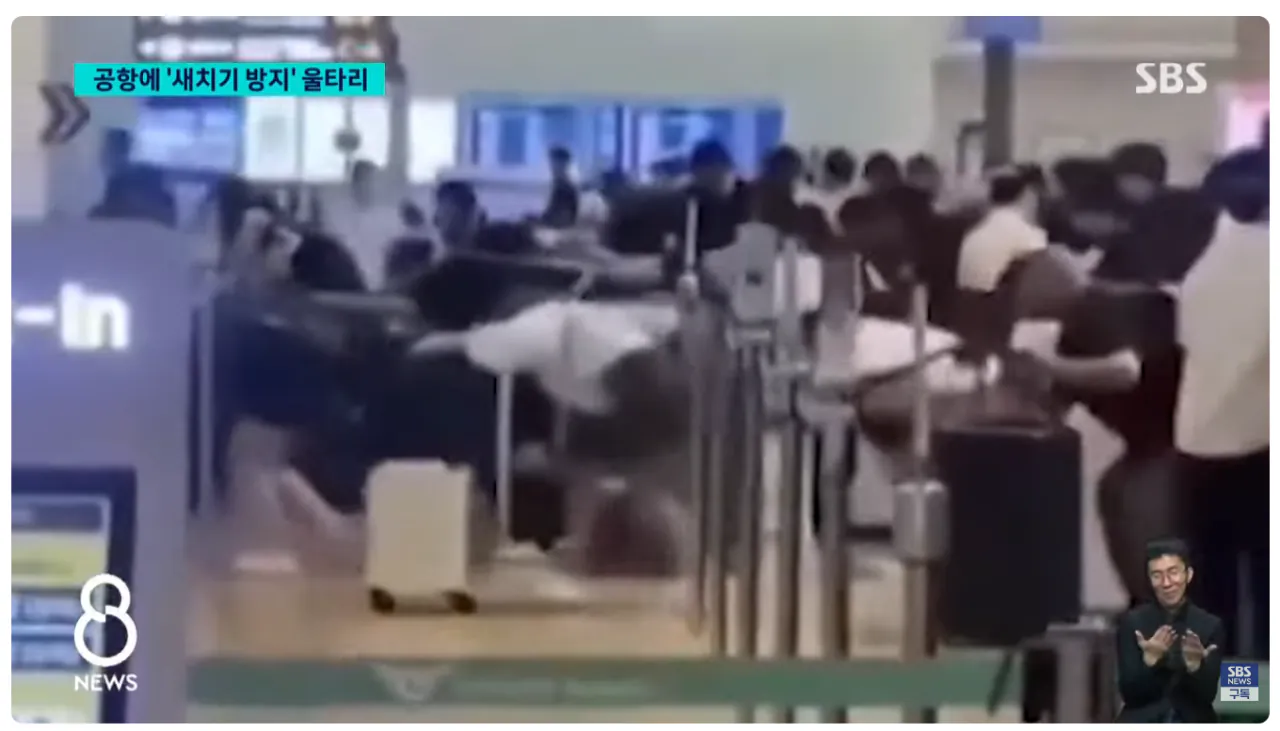 image.png [SBS] 인천공항에 '새치기 방지' 울타리 설치 이후 근황