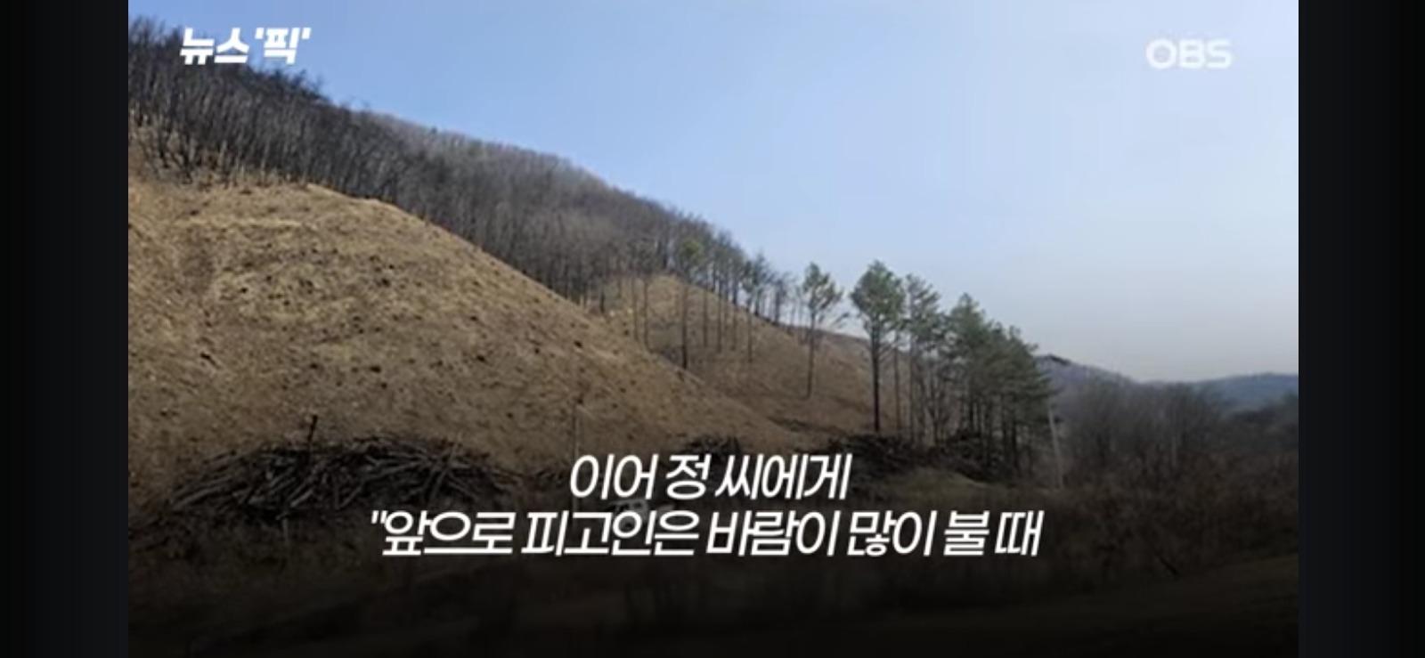 27명 목숨과 3100명 이재민 발생, 대형 산불 판결 (17)
