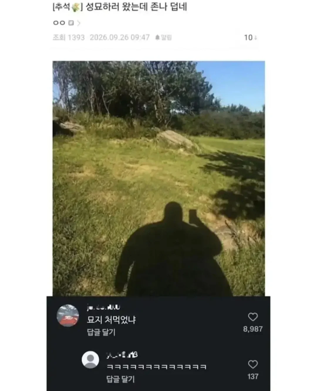 성묘하러 왔는데 너무 더운 디씨인.
