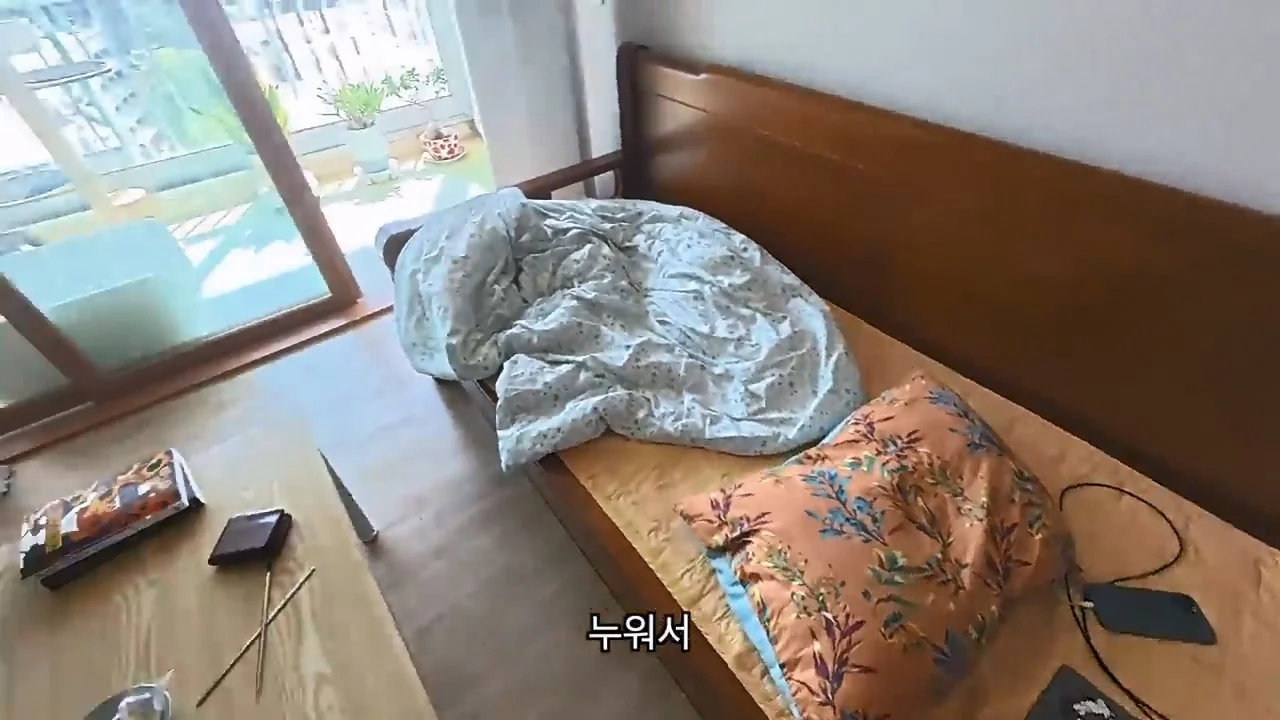 해외여행으로 가진돈 다 써버린 여행 유튜버 근황 (13)