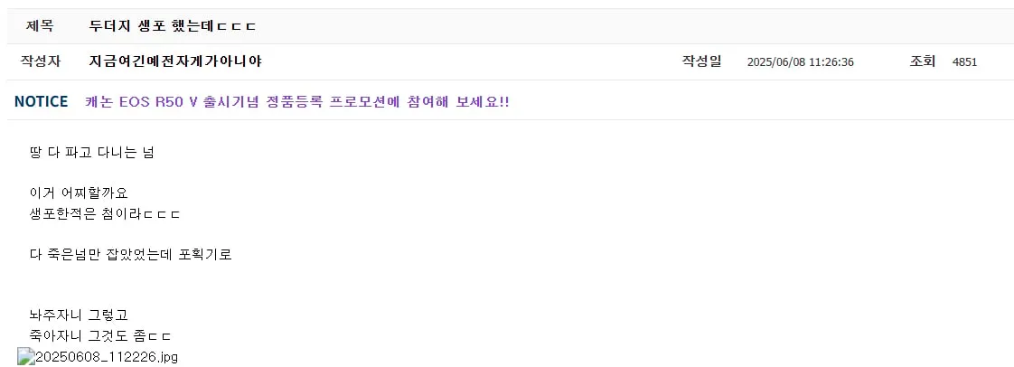 두더지 잡았는데 잔인하게 처리하라는 댓글.jpg