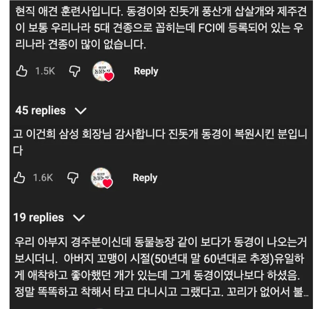 한국인도 모르는 진짜 토종견 ‘동경이' (2)