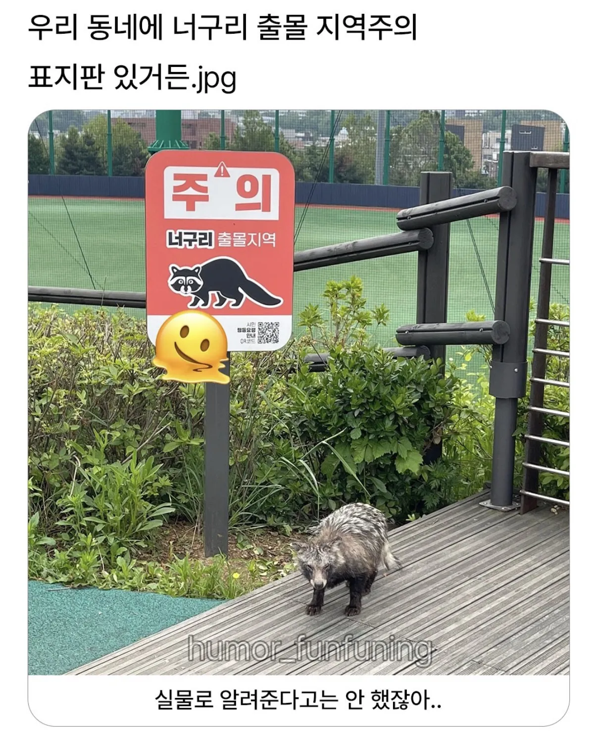 우리동네에 너구리 출몰지역주의 표지판이 있거든