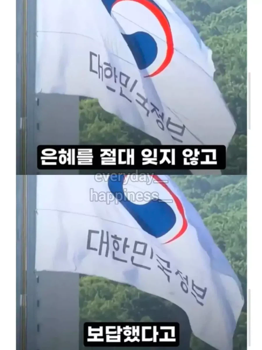 추락한 전투기 조종사를 구출 (11)