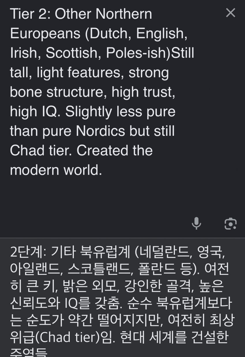 서양 커뮤에서 만든 인종 순위 20단계 (44)