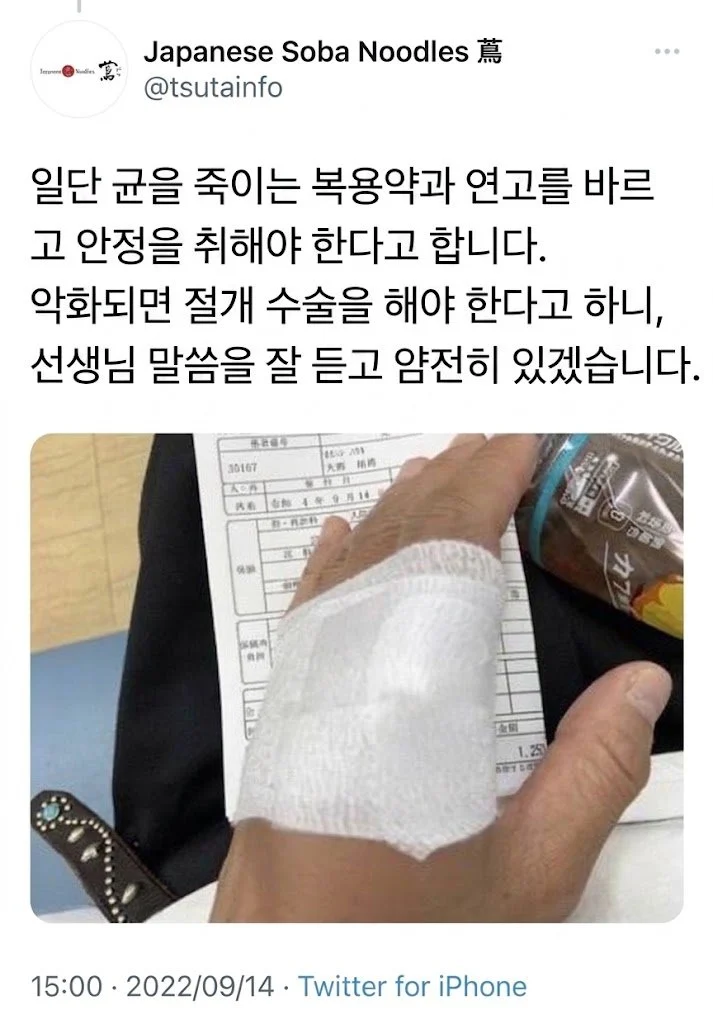 고양이에 물리고 9일만에 사망한 미슐랭쉐프ㄷㄷㄷ (3)