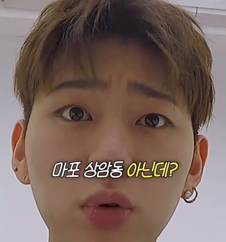 사실 루머공장이라는 나무위키 (36)