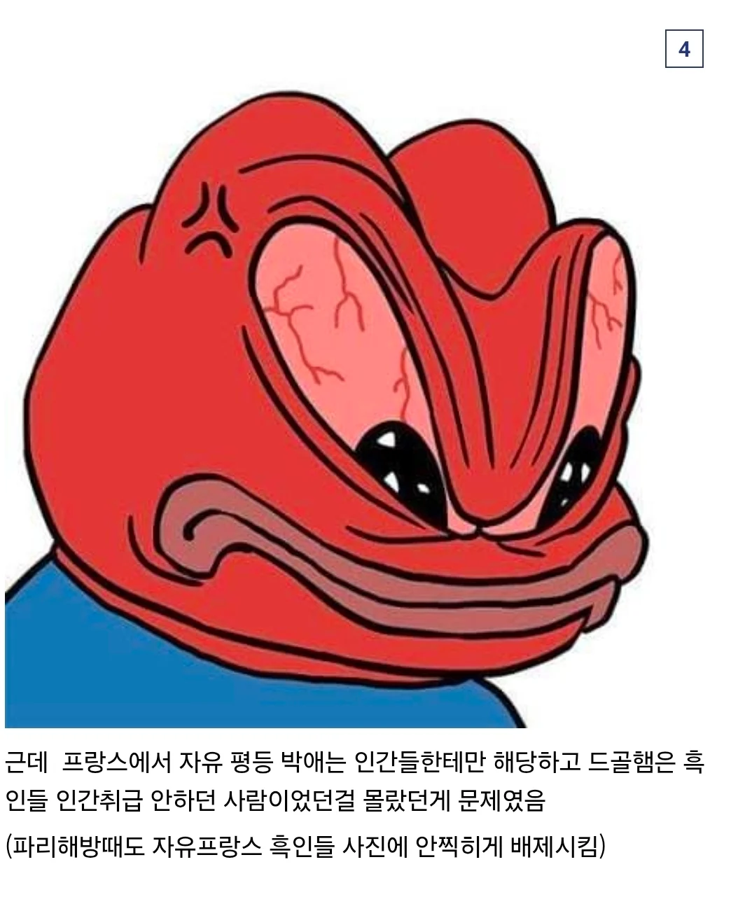 서아프리카 기니한테 프랑스가 한일 (4)