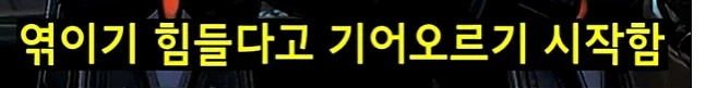 스타2)엔딩 이후 프로토스 종족 상황 (7)